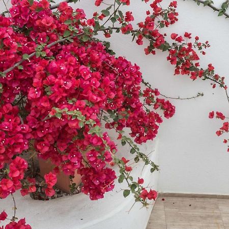 Depis Apartments & Suites Naxos City 外观 照片