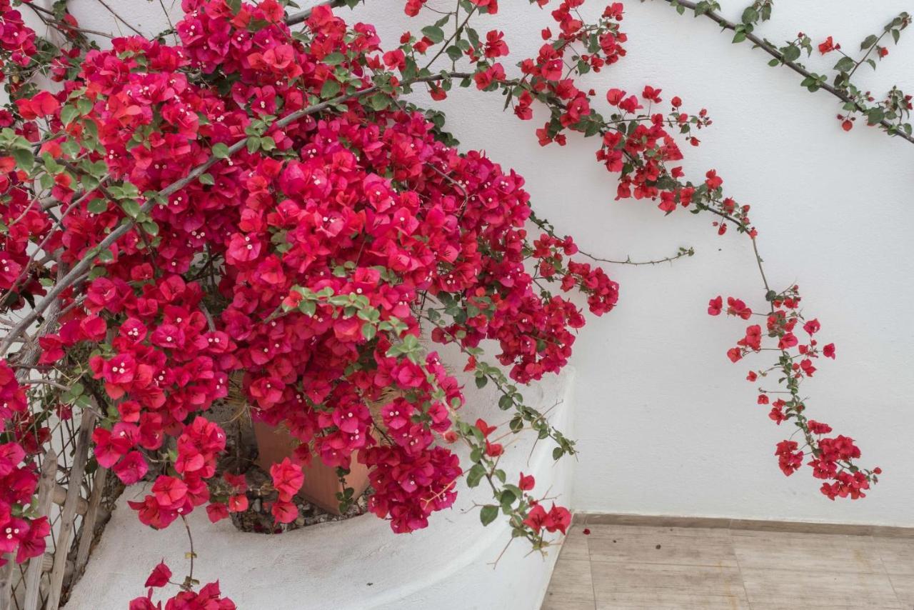 Depis Apartments & Suites Naxos City 外观 照片